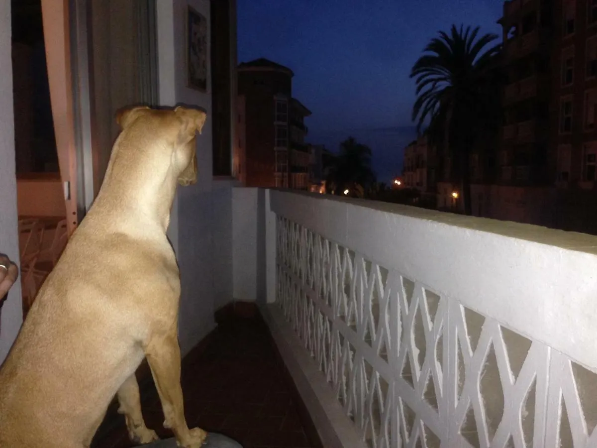 Apartamento Real Apartment La Herradura  0*, La Herradura (Granada) Spain